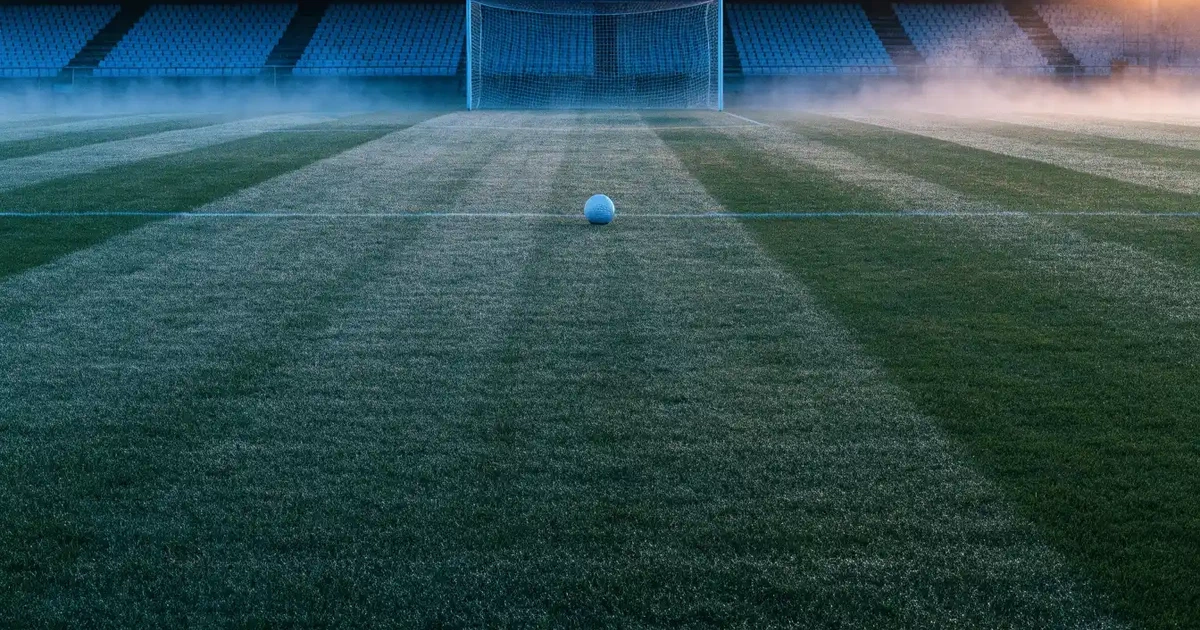Ein Fußballplatz mit gepflegtem Rasen und einem Tor, über dem Spielfeld liegt Morgennebel, im Hintergrund eine leere Tribüne.